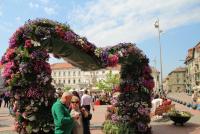 Imagine atasata: opv,flor,ish-21.apr.2019-024.jpg
